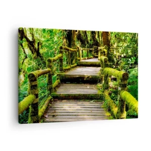 Quadro su tela - Stampe su Tela - Un ponte di legno ricoperto di muschio in una foresta pluviale tropicale - 70x50cm - Un corridoio nel verde - Decorazione murale moderna per soggiorno e camera da letto ARTTOR