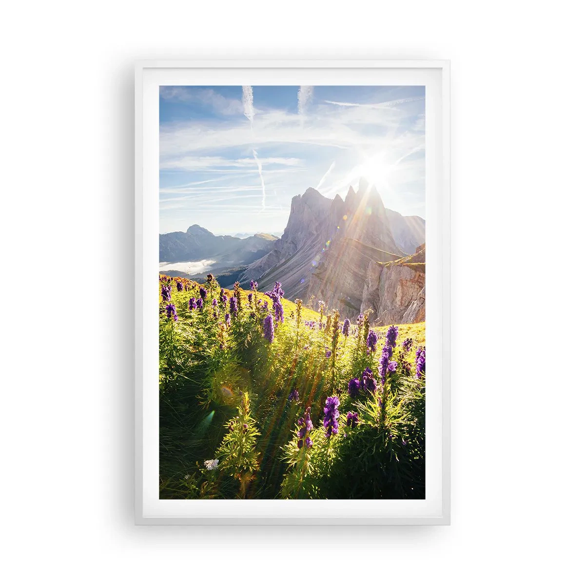 Poster in cornice bianca - La vita segreta delle erbe - 61x91 cm