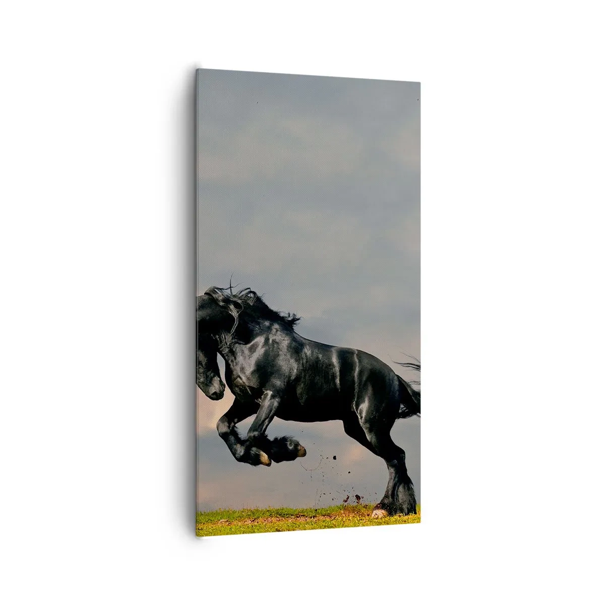 Quadro su tela - Stampe su Tela - Libero e bello - 65x120 cm