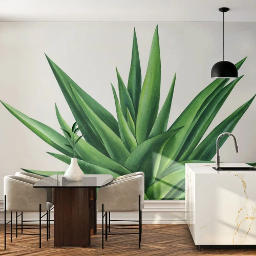 Fotomurali Autoadesivo Deluxe Sticker - Verde - forza - vita - Pianta, Aloe, Botanica - 100x70 cm