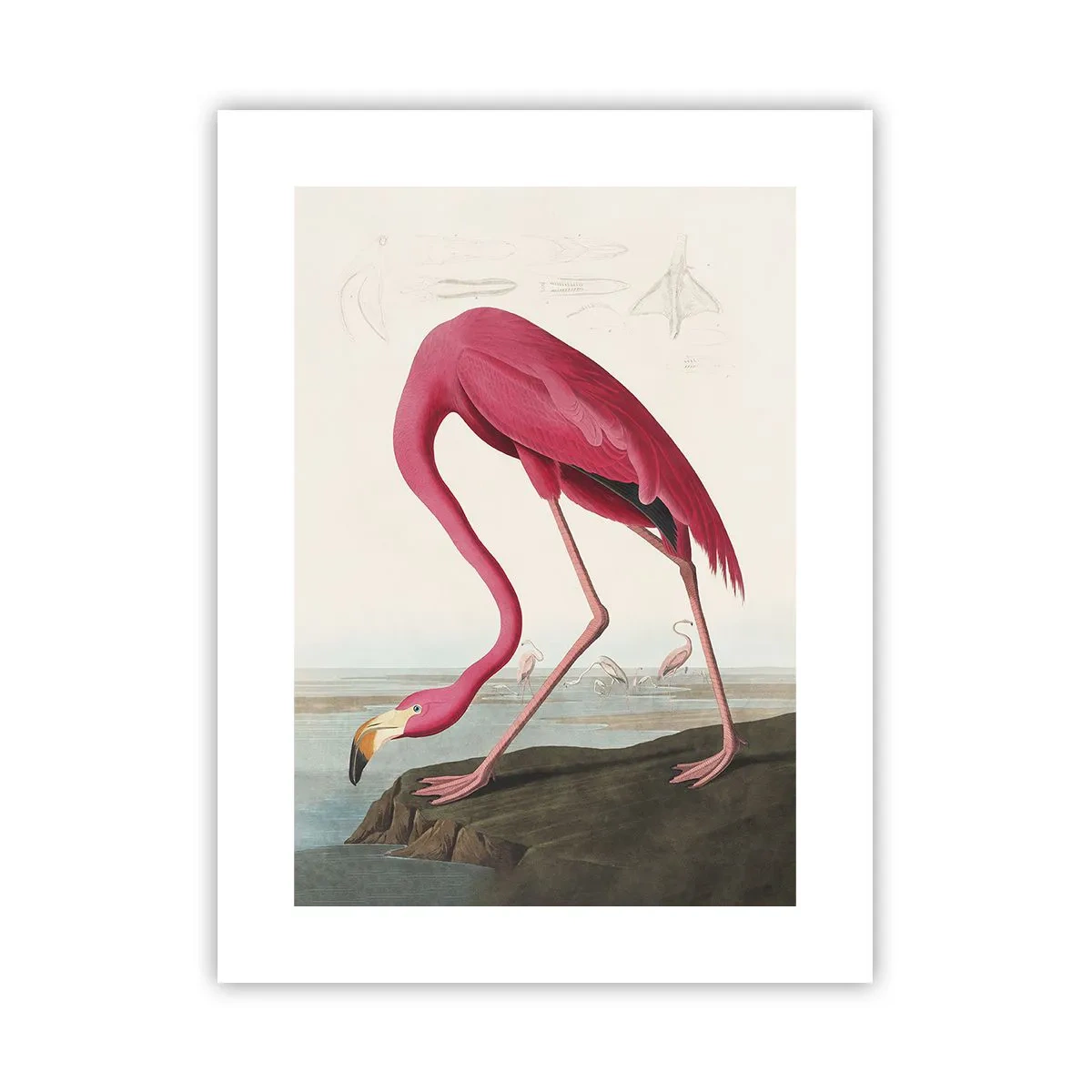 Poster - Creazione affascinante - 30x40 cm