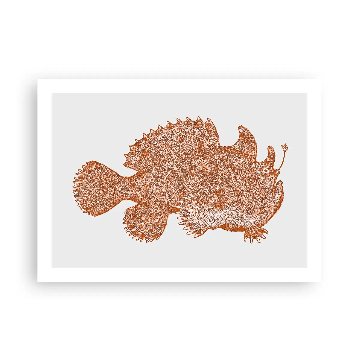Poster - È davvero un pesce - 70x50 cm