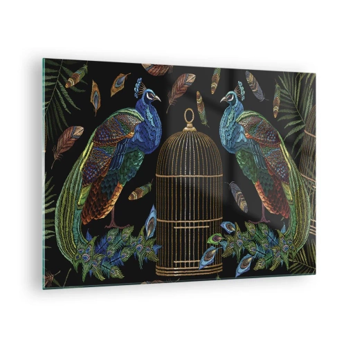 Quadro su vetro - Pavoni colorati e una gabbia su uno sfondo nero - 70x50cm - Con gli abiti reali - Decorazione murale moderna per soggiorno e camera da letto ARTTOR
