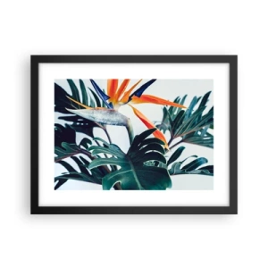 Poster in cornice nera - Pianta uccello - 40x30 cm