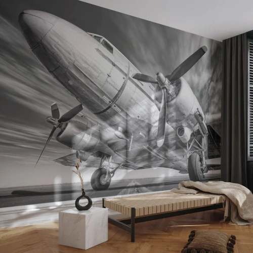 Fotomurali Premium Sand - Sempre pronto al volo - Aereo, retrò, Aereo - 200x140 cm