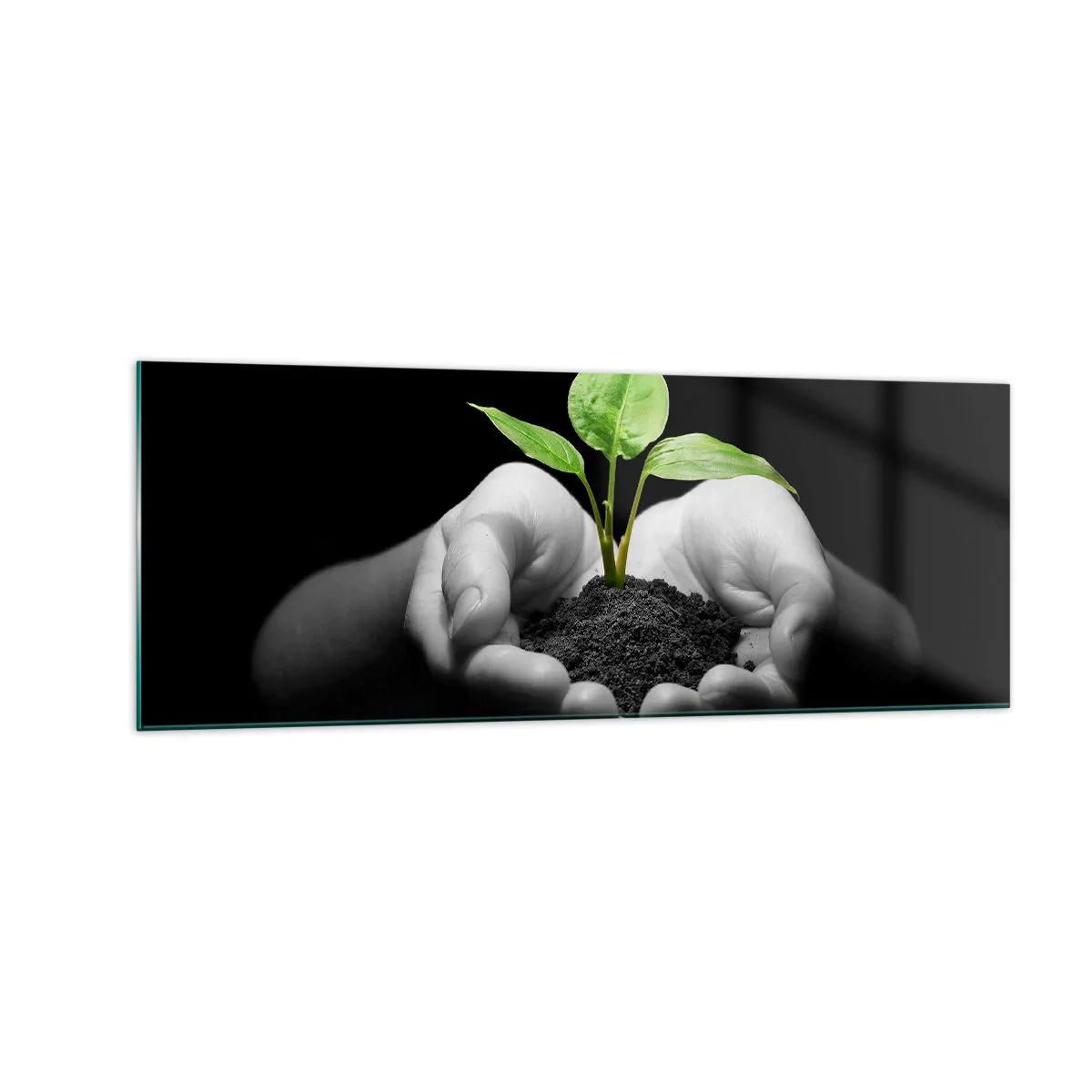 Quadro su vetro - Mani che tengono una pianta verde su uno sfondo nero - 140x50cm - Amo la natura, la proteggo - Decorazione murale moderna per soggiorno e camera da letto ARTTOR