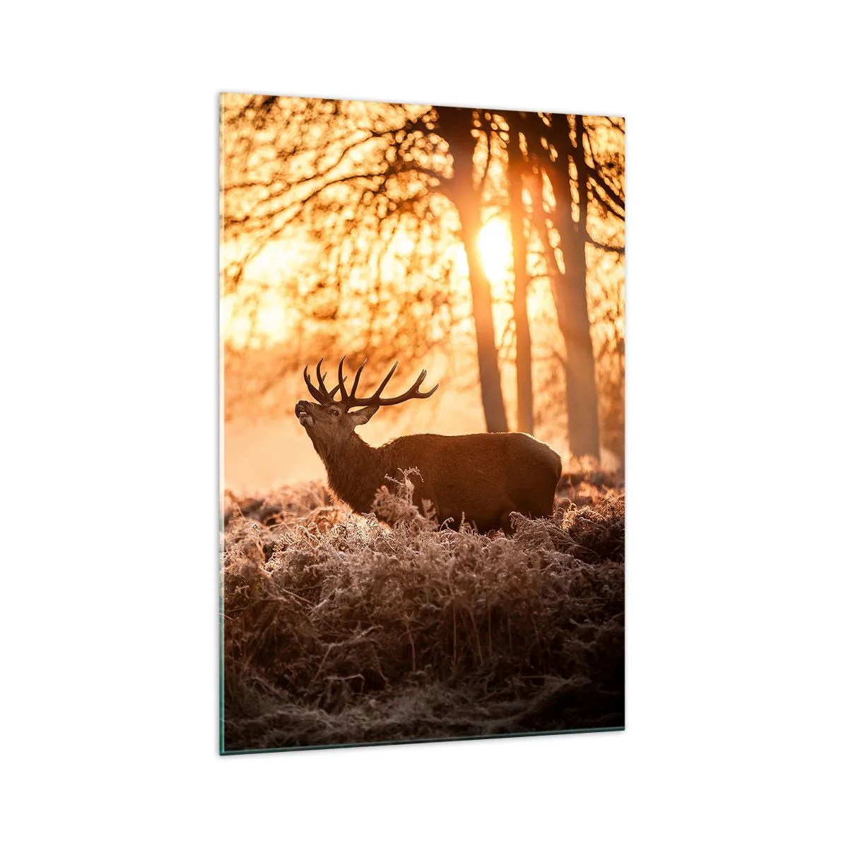 Quadro su vetro - Due cervi al tramonto in un paesaggio invernale - 70x100cm - Il sogno del cacciatore - Decorazione murale moderna per soggiorno e camera da letto ARTTOR