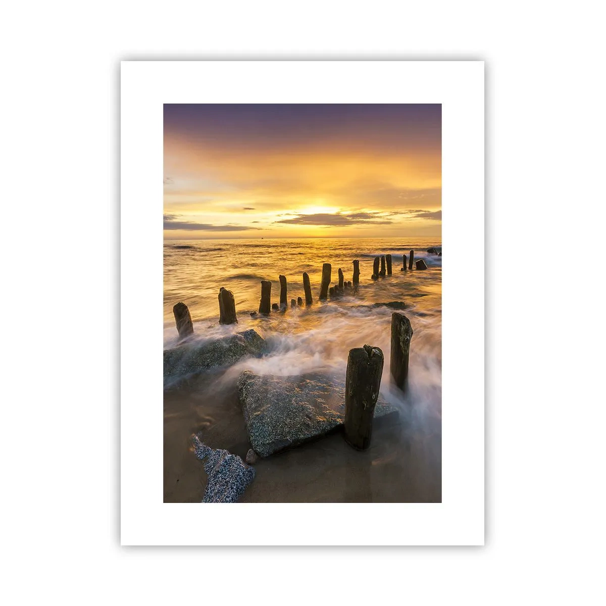 Poster - La bellezza selvatica del Baltico - 30x40 cm