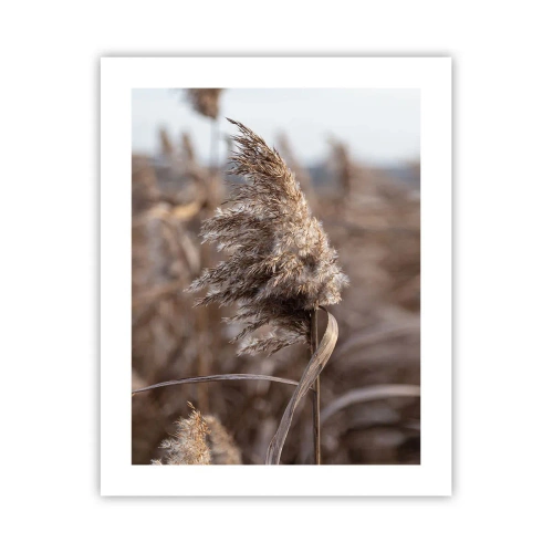 Poster - è tempo di volare col vento - 40x50 cm