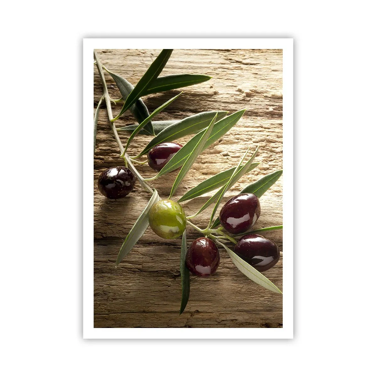 Poster - Direttamente dalla natura - 70x100 cm