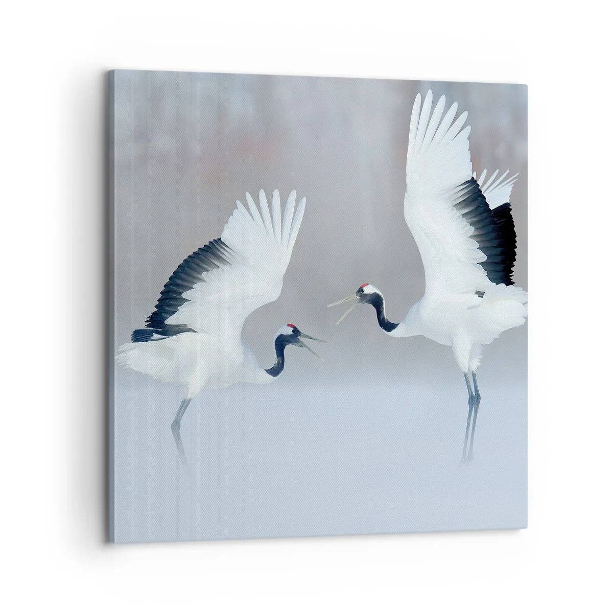 Quadro su tela - Stampe su Tela - Danza nella nebbia - 60x60 cm