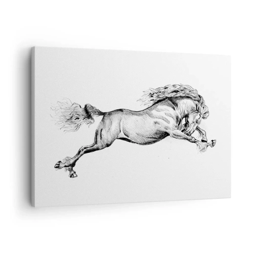Quadro su tela - Stampe su Tela - Schizzo di un cavallo al galoppo dinamico su sfondo bianco - 70x50cm - Fermo al galoppo - Decorazione murale moderna per soggiorno e camera da letto ARTTOR