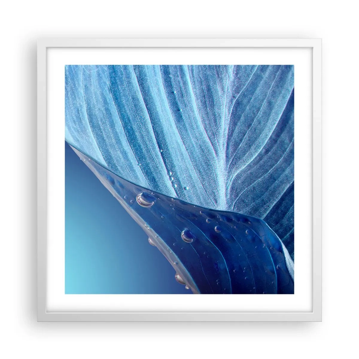 Poster in cornice bianca - Gocce di blu nascoste - 50x50 cm