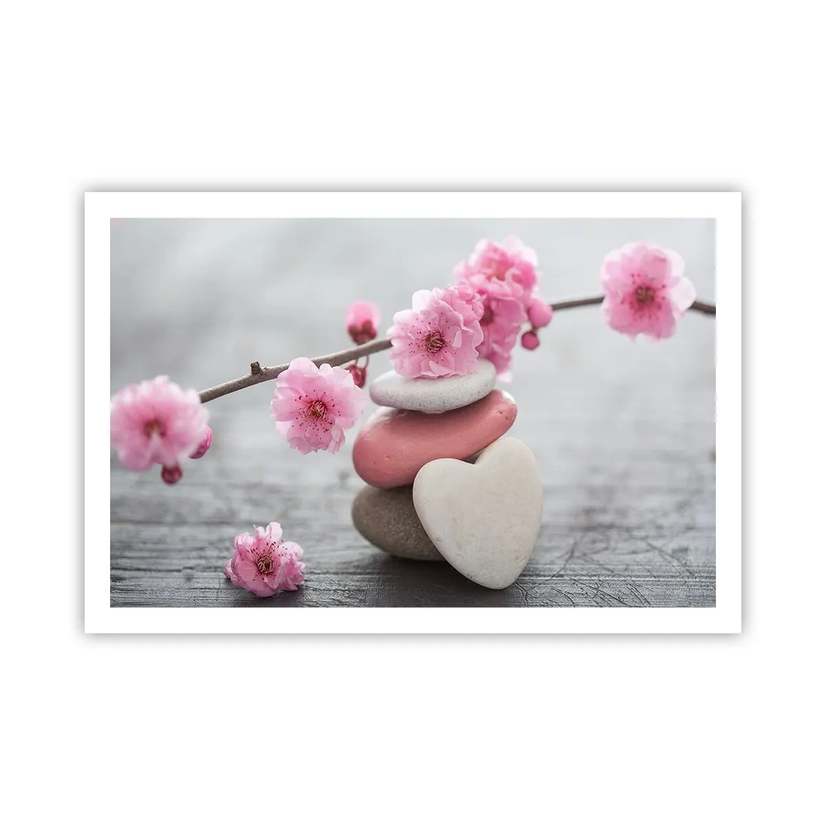 Poster - Serenità con fiori di ciliegio - 91x61 cm