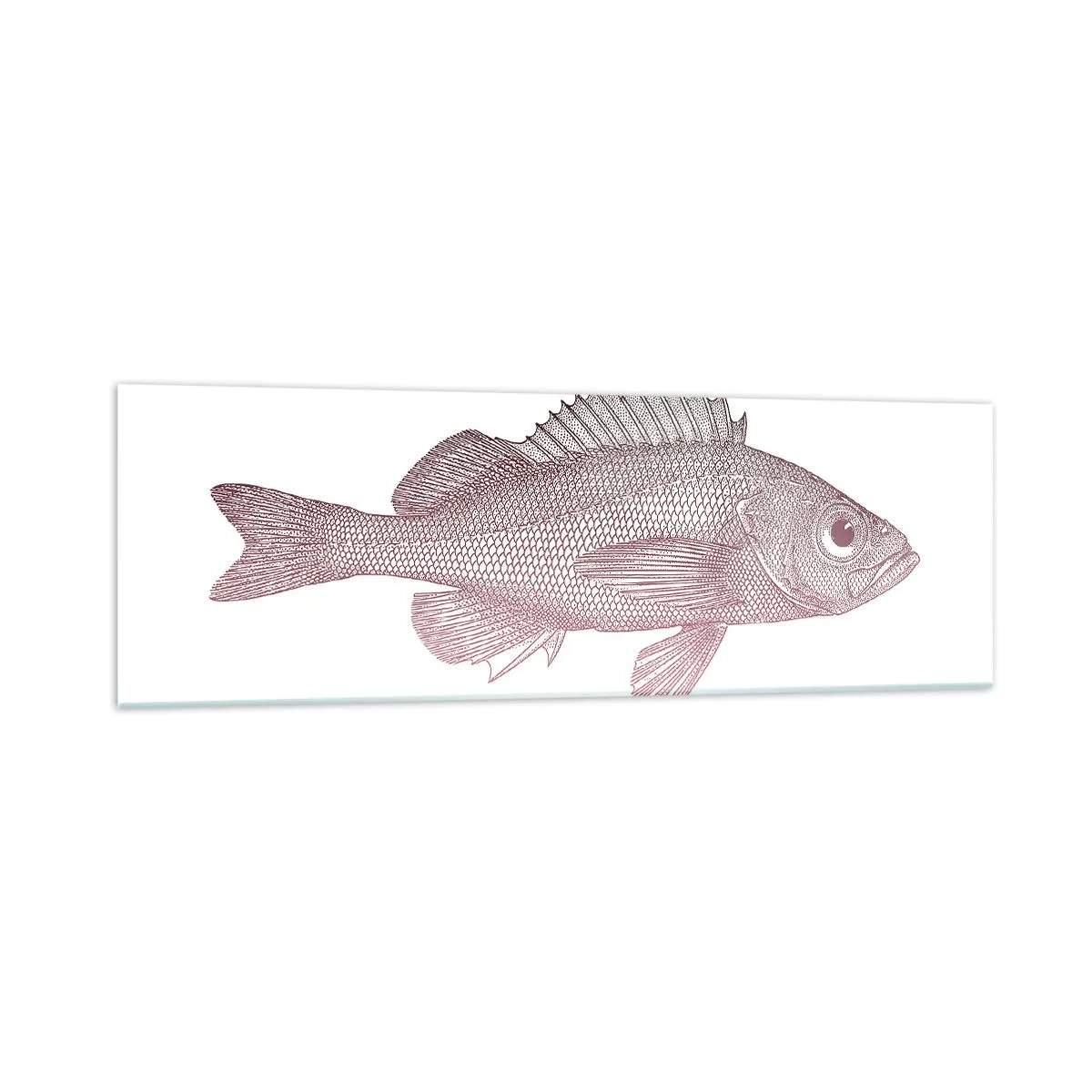 Quadro su vetro - Illustrazione dettagliata di un pesce su sfondo bianco - 160x50cm - Il pesce dagli occhi enormi - Decorazione murale moderna per soggiorno e camera da letto ARTTOR