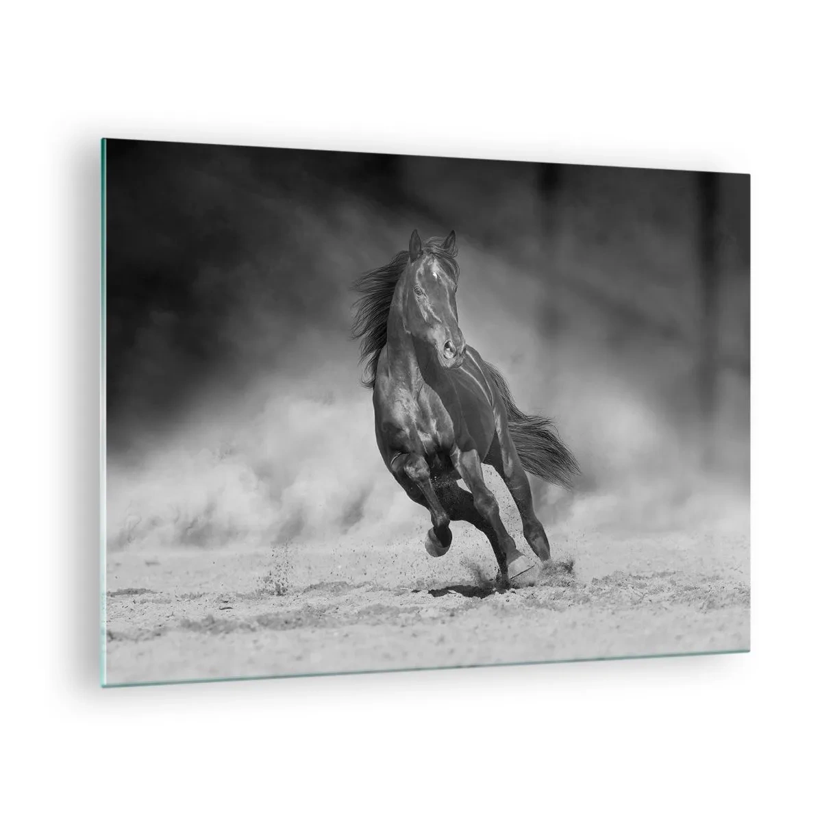 Quadro su vetro - Un cavallo nero che galoppa sulla sabbia in bianco e nero. - 70x50cm - Degno dell'emiro - Decorazione murale moderna per soggiorno e camera da letto ARTTOR