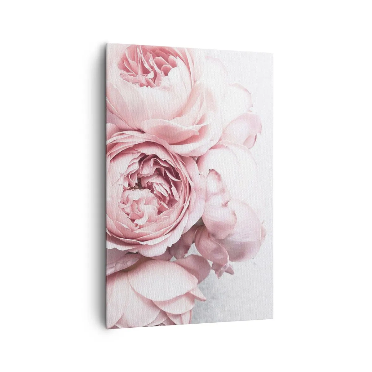 Quadro su tela - Stampe su Tela - Peonie rosa in luce soffusa su uno sfondo chiaro - 80x120cm - Per i romantici - Decorazione murale moderna per soggiorno e camera da letto ARTTOR