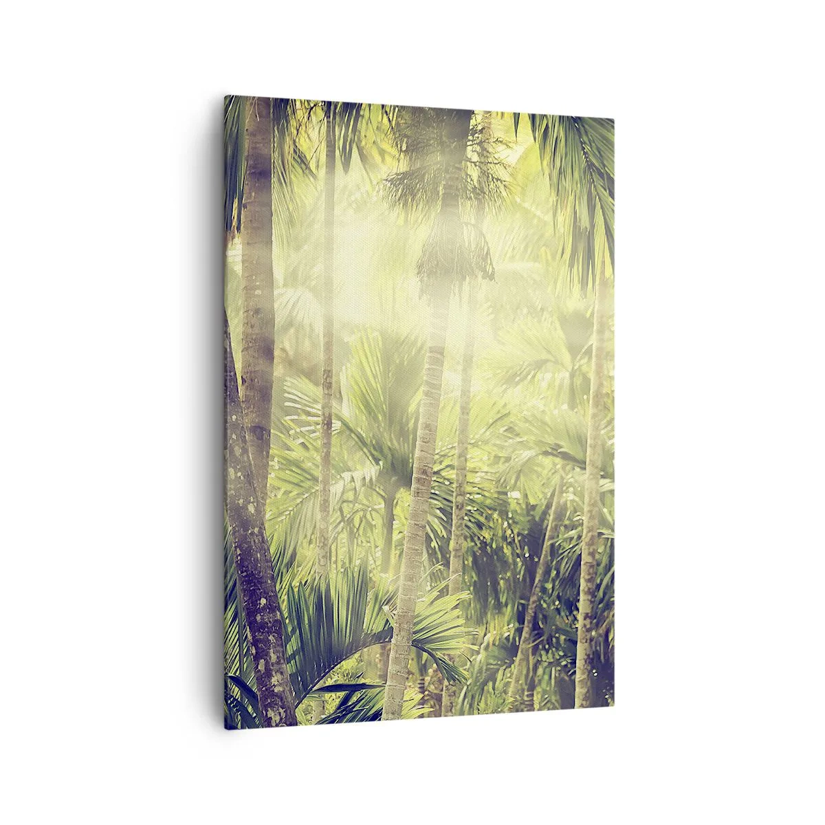 Quadro su tela - Stampe su Tela - Raggi di sole in una foresta tropicale di palme - 70x100cm - Nell'afa verde - Decorazione murale moderna per soggiorno e camera da letto ARTTOR