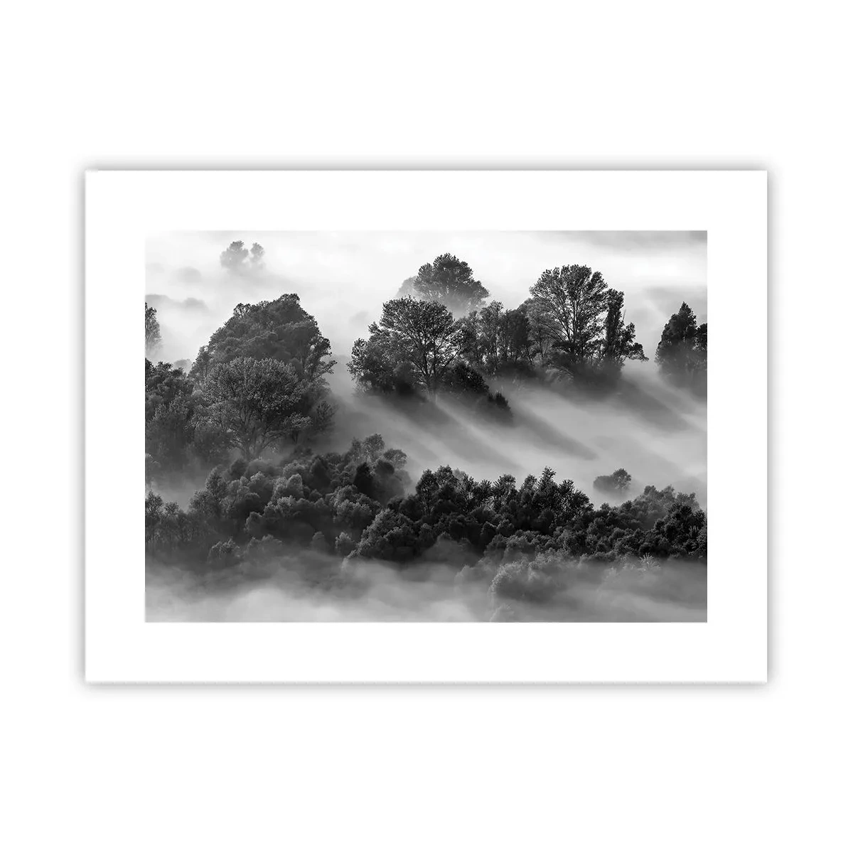 Poster - Risveglio dal sonno - 40x30 cm