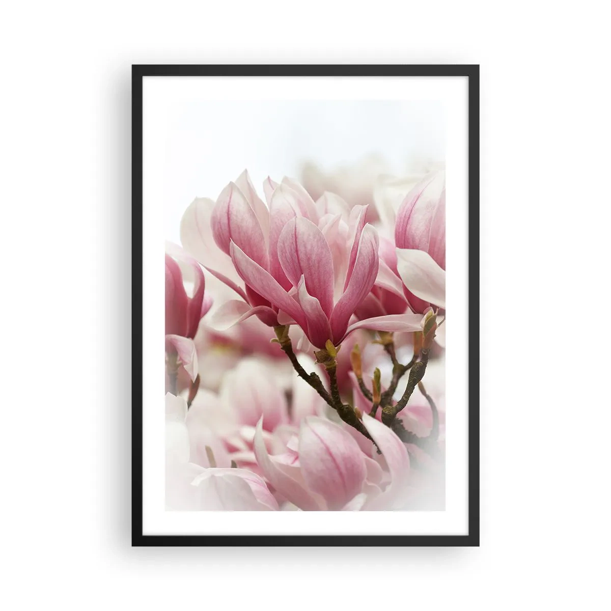 Poster in cornice nera - Fiori primaverili - 50x70cm - Fiori di primavera - Decorazione murale moderna per soggiorno e camera da letto ARTTOR