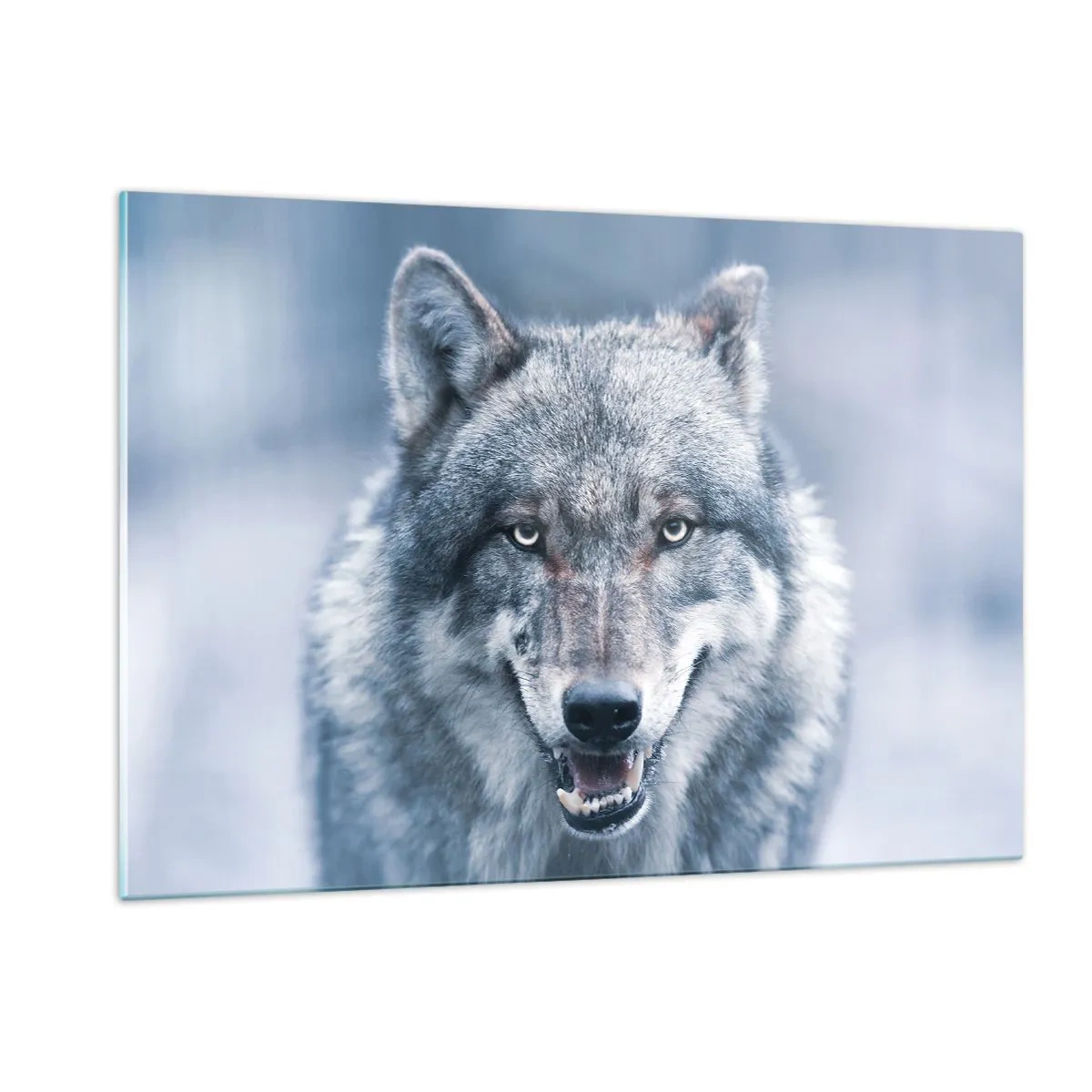 Quadro su vetro - Un lupo dallo sguardo penetrante sullo sfondo di una foresta innevata - 120x80cm - Accetti la sfida? - Decorazione murale moderna per soggiorno e camera da letto ARTTOR