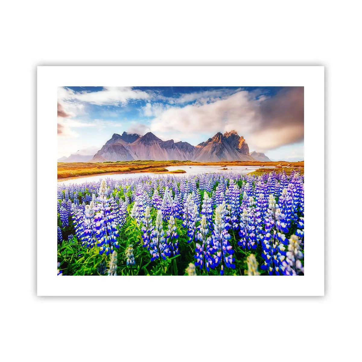 Poster - Forza e asprezza accanto alla mitezza - 50x40 cm