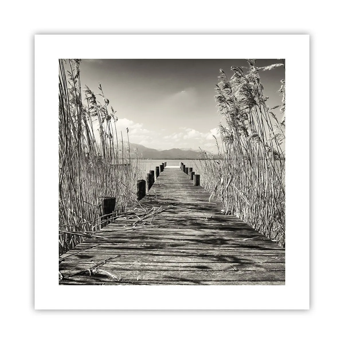 Poster - Nel silenzio dell'erba - 40x40 cm