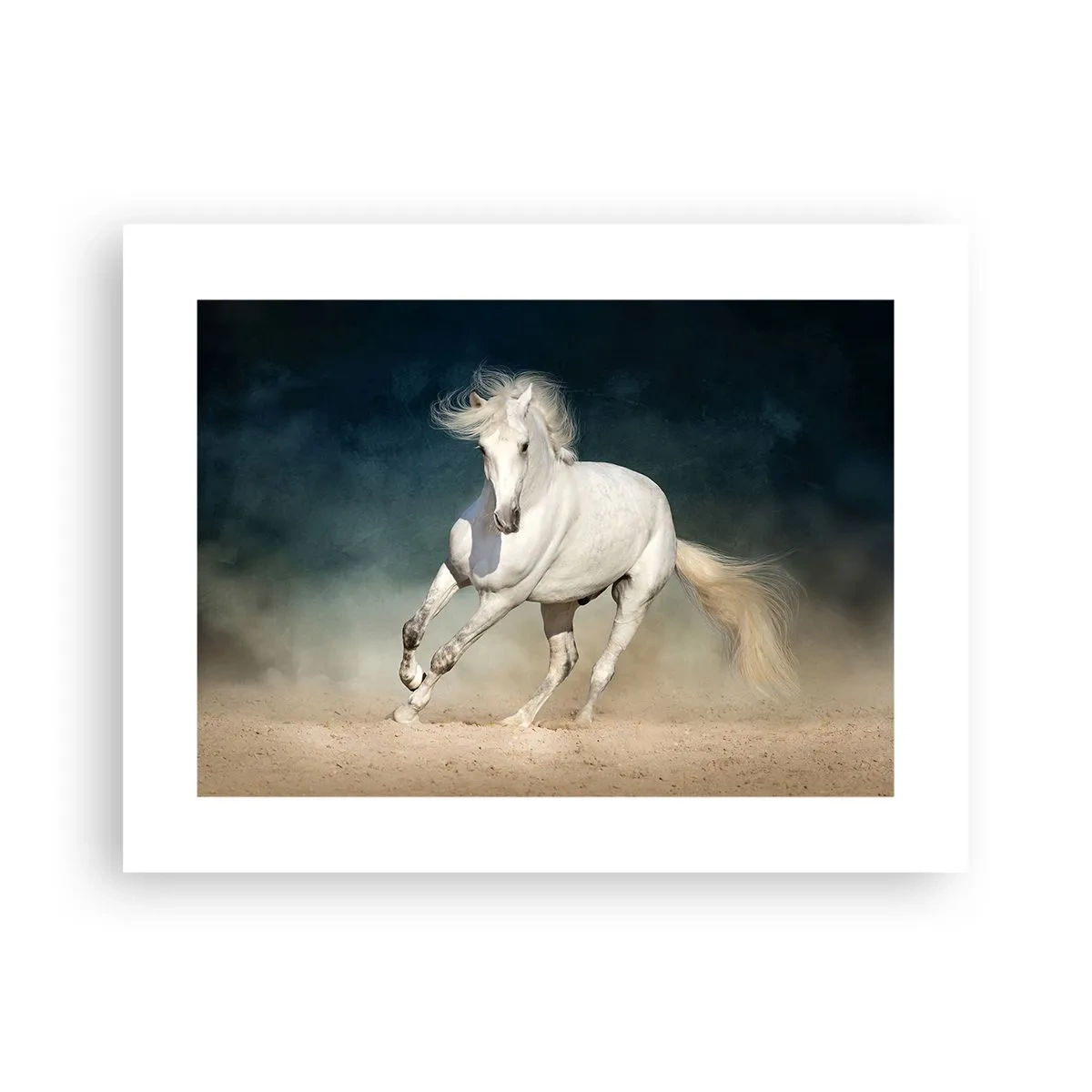 Poster - Libertà allo stato puro - 40x30 cm