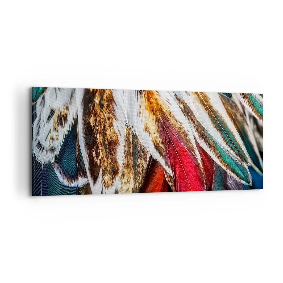 Quadro su tela - Stampe su Tela - I misteri del volo - 100x40 cm