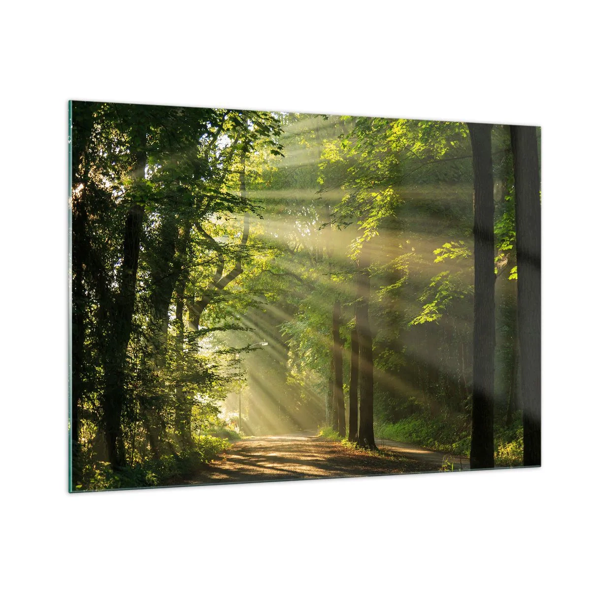 Quadro su vetro - Un sentiero nel bosco illuminato dai raggi del sole - 100x70cm - Un attimo nel bosco - Decorazione murale moderna per soggiorno e camera da letto ARTTOR