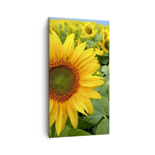 Quadro su tela - Stampe su Tela - Centinaia di soli ardono - 45x80 cm