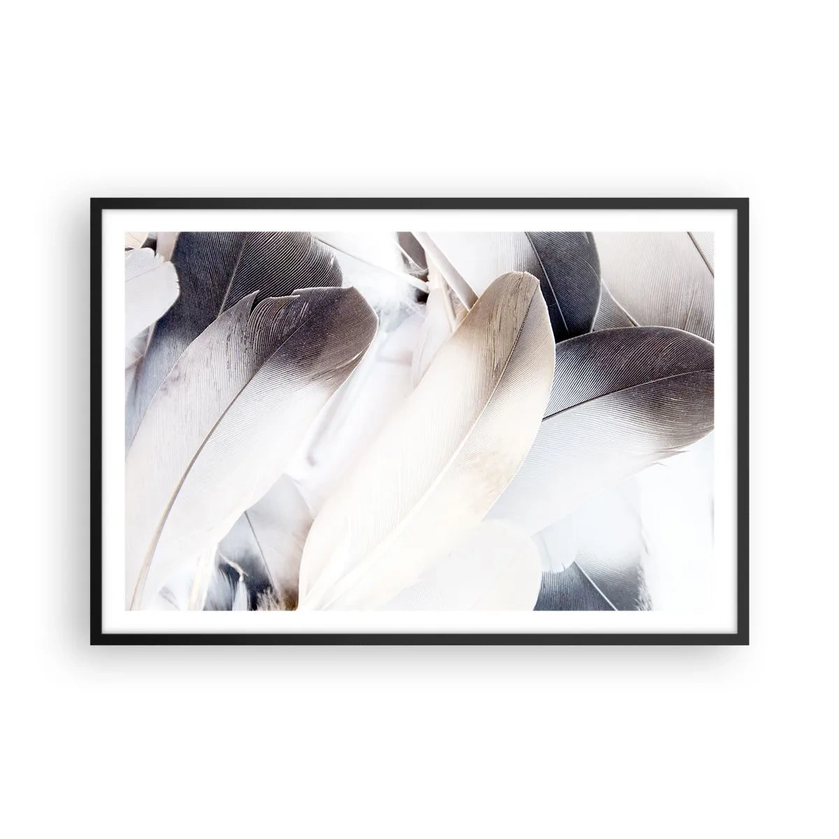 Poster in cornice nera - Quasi angeliche - 91x61 cm