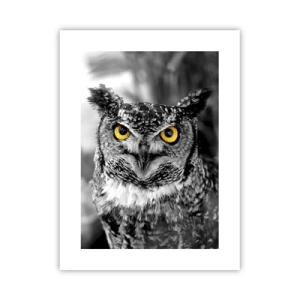 Poster - Non si può nascondere niente - 30x40 cm