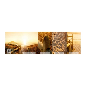 Campione di Fotomurale Adesivo Deluxe Sticker - Attraverso la duna, verso il sole - Paesaggio, Spiaggia, Tramonto - 100x30 cm