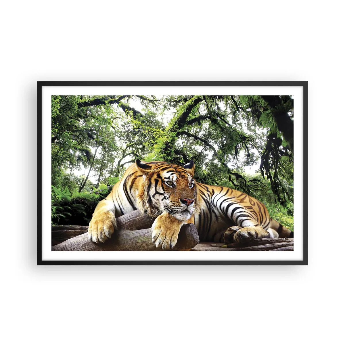 Poster in cornice nera - Con espressioni di stima - 91x61 cm