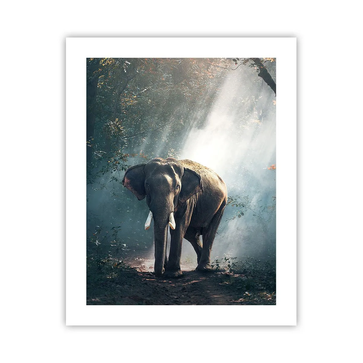 Poster - Tranquilla passeggiata - 40x50 cm