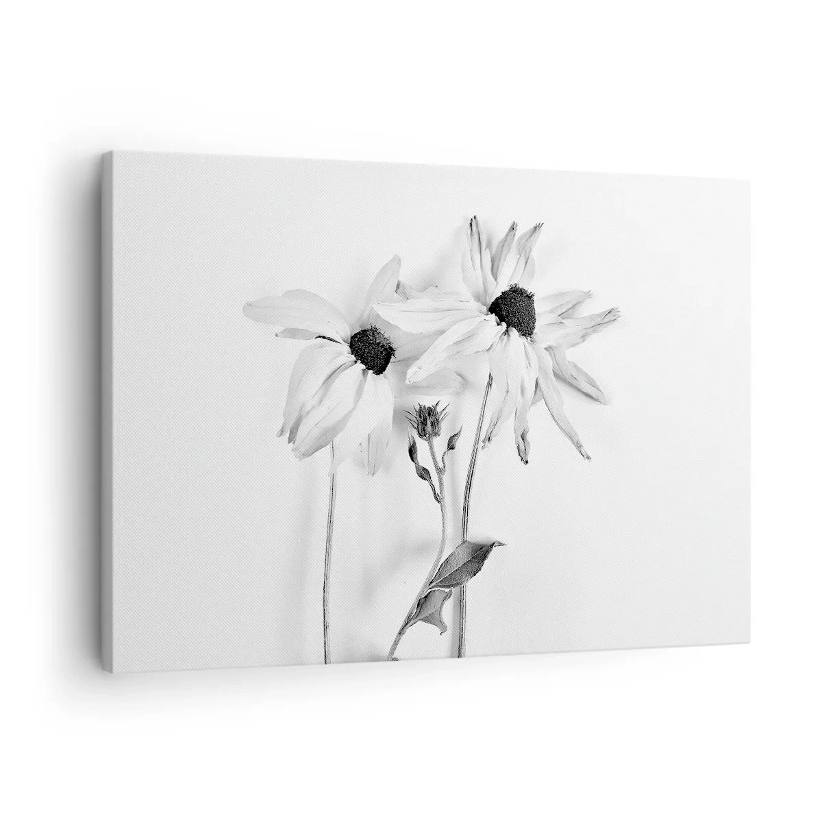Quadro su tela - Stampe su Tela - Nessuno vuole essere solo - 70x50 cm