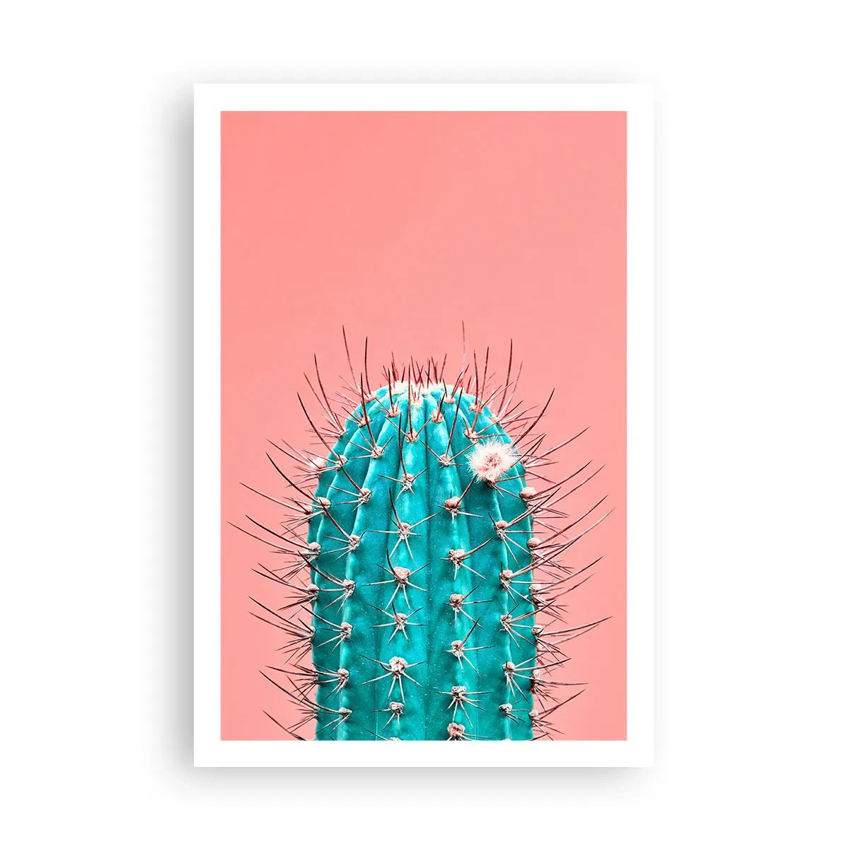 Poster - Stai attento - 61x91 cm
