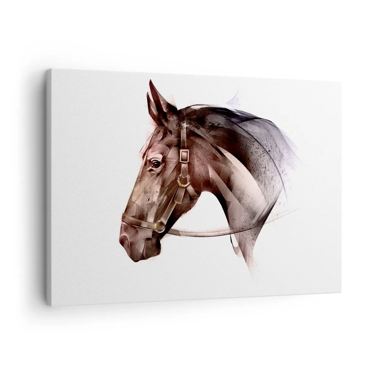 Quadro su tela - Stampe su Tela - Che grazia - 70x50 cm