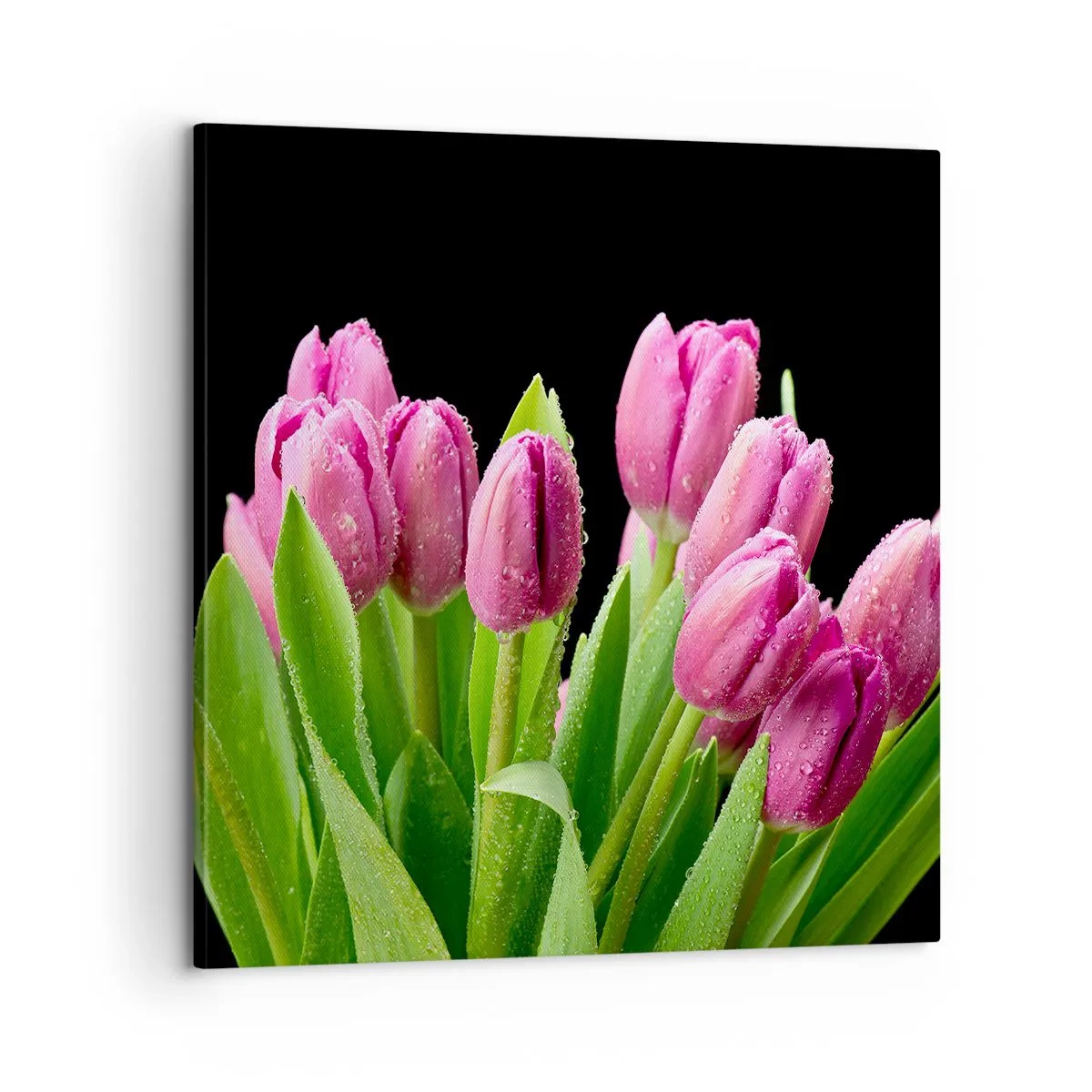 Quadro su tela - Stampe su Tela - Gioia lilla della primavera - 60x60 cm