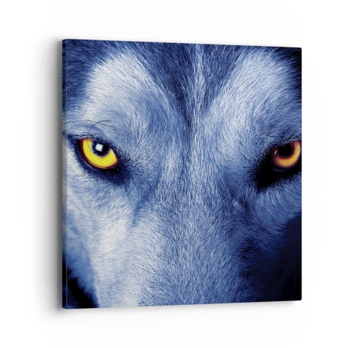 Quadro su tela - Stampe su Tela - Sguardo ipnotico - 40x40 cm