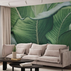 Fotomurali Premium Sand - Una vita intensamente verde - Foglie, Esotico, Botanico - 250x175 cm