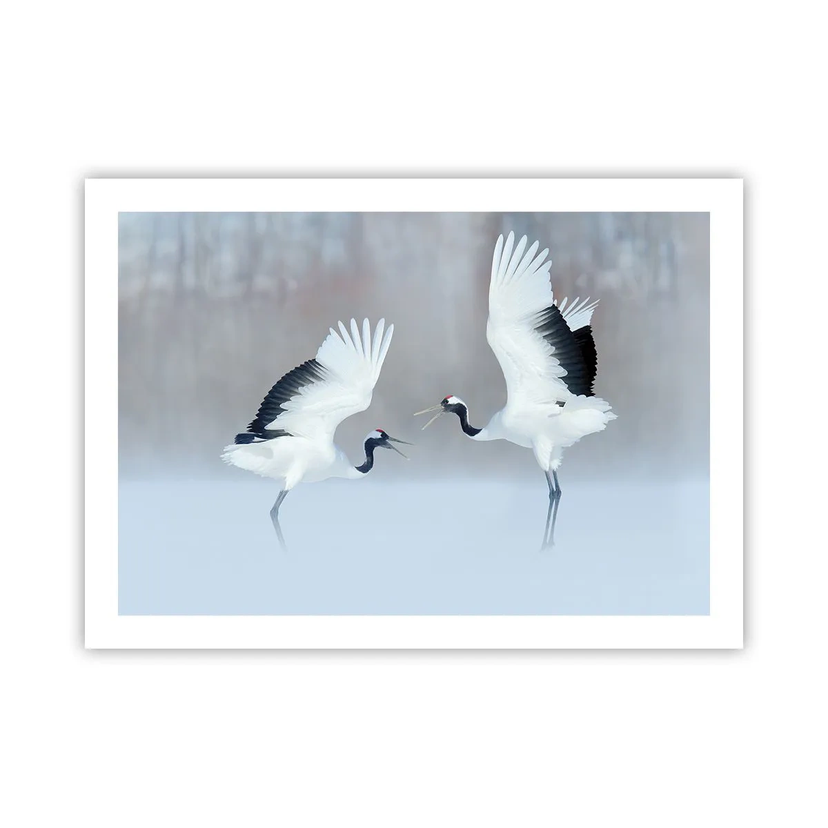 Poster - Danza nella nebbia - 70x50 cm