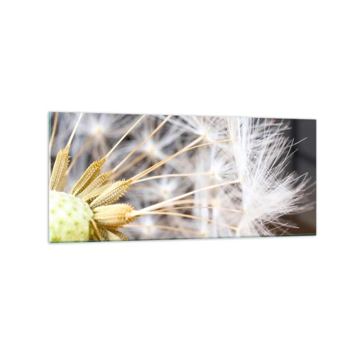 Quadro su vetro - Macrofotografia di un dente di leone con semi delicati - 120x50cm - Subito prima del decollo - Decorazione murale moderna per soggiorno e camera da letto ARTTOR