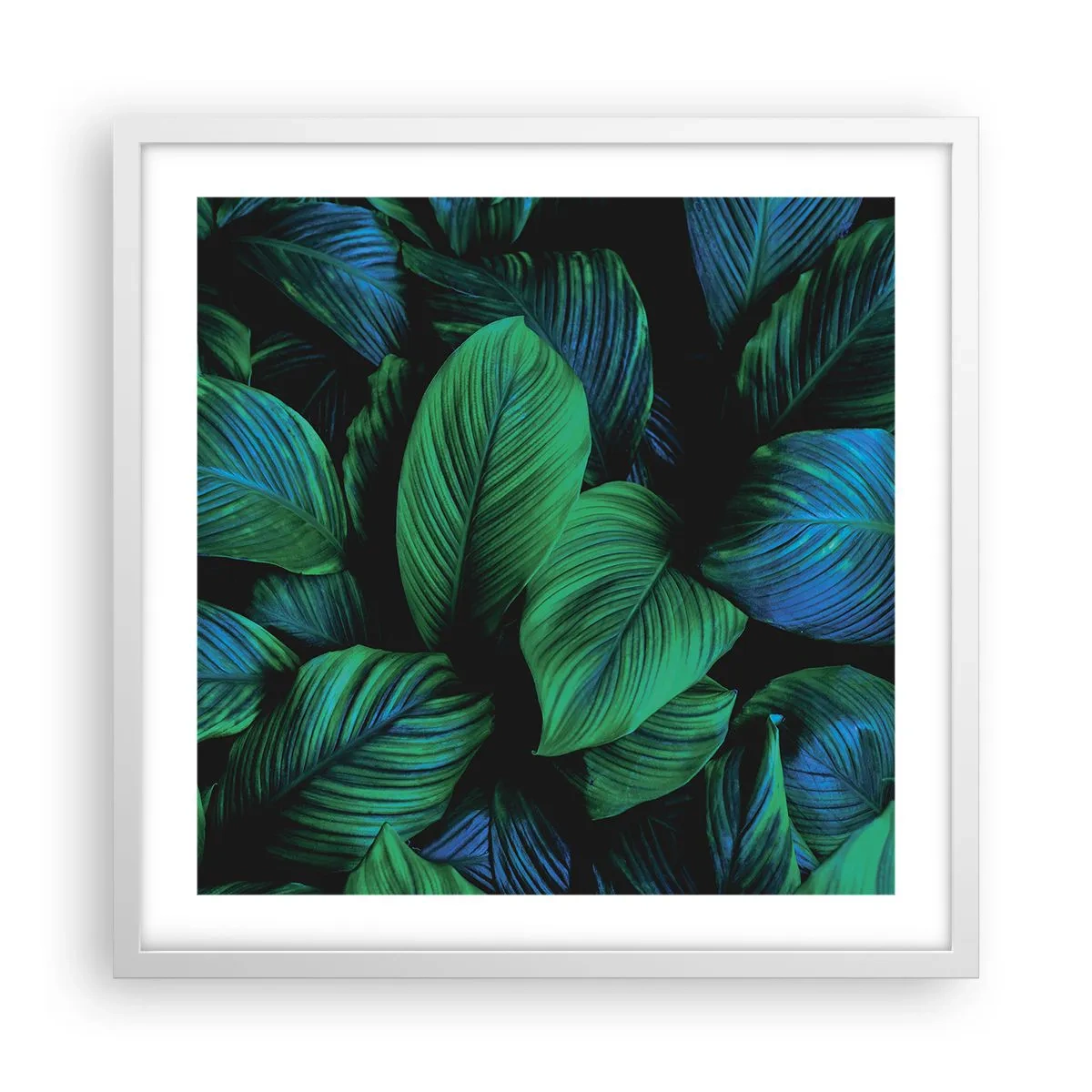 Poster in cornice bianca - Nella folla verde - 50x50 cm