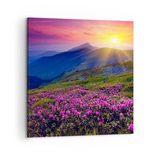 Quadro su tela - Stampe su Tela - Odore di mugo e profumo di erbe - 50x50 cm