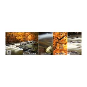 Campione Di Fotomurale Standard Eco - Ruscello nel bosco dorato - Paesaggio, foresta, Ruscello di montagna - 100x30 cm