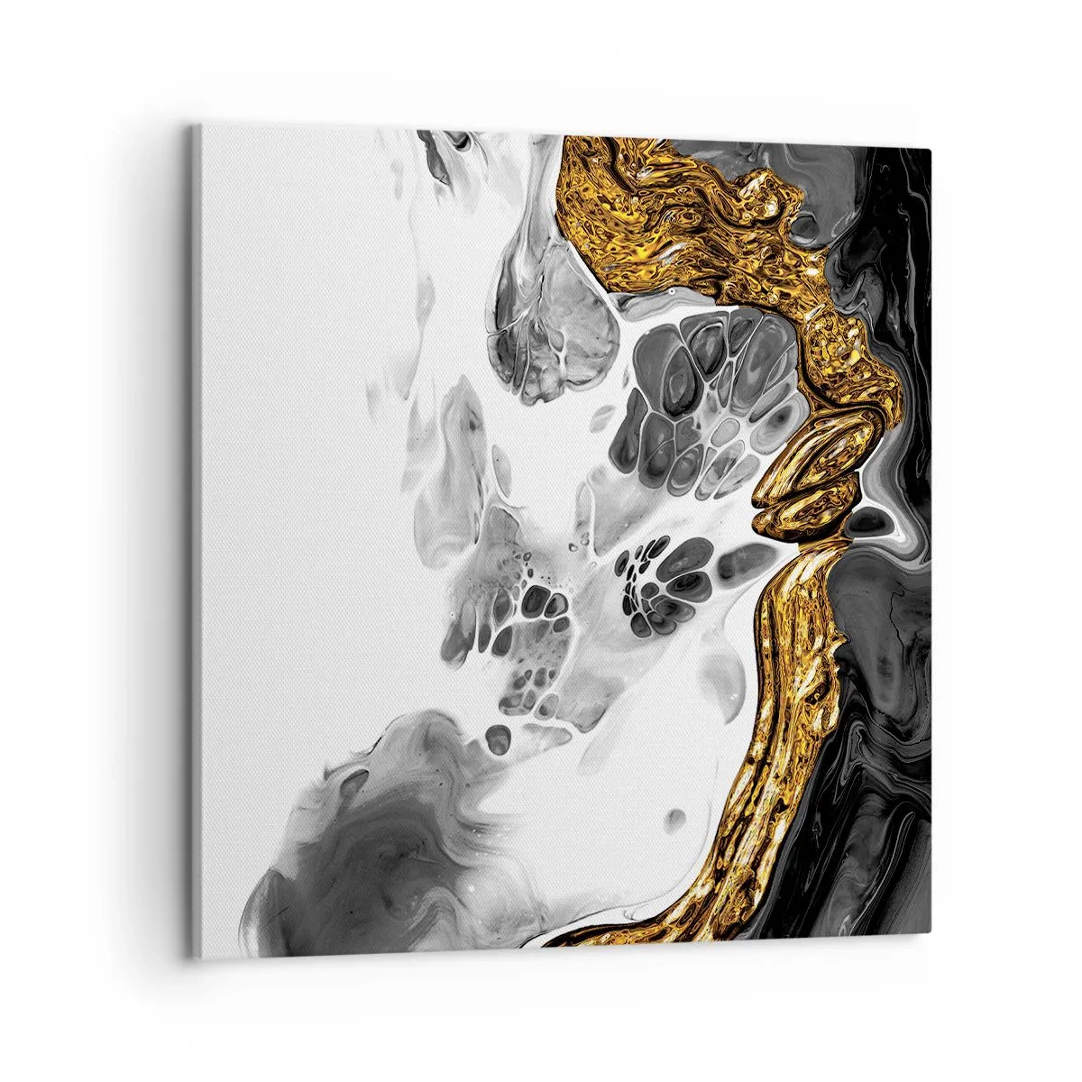 Quadro su tela - Stampe su Tela - Composizione organica - 60x60 cm