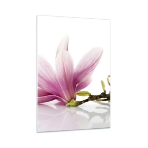 Quadro su vetro - Delicati fiori di magnolia su sfondo bianco - 50x70cm - Delicati come un soffio di primavera - Decorazione murale moderna per soggiorno e camera da letto ARTTOR