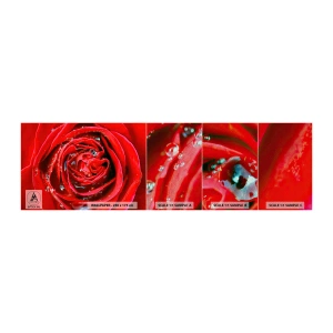 Campione di Fotomurale Premium Sand - Nelle gocce della rugiada - Fiori, Rosa rossa, Amore - 100x30 cm
